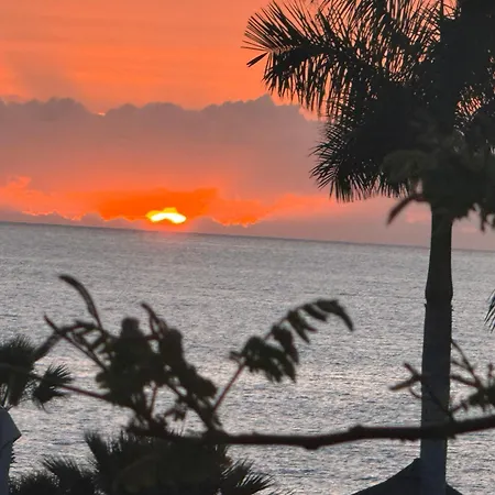 Apartmán Ocean Deluxe Palm-mar