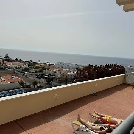 Ocean Deluxe Palm-mar